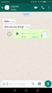 Fake Chat Whatsapp Screenshot