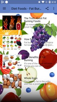 Diet Foods - Fat Burning Foods screenshot 3