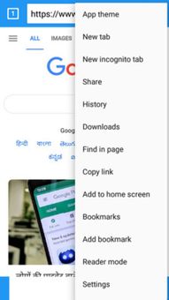 Indian browser screenshot 1