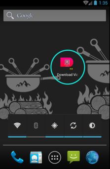 Download Video screenshot 2