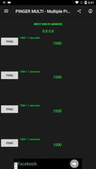 PINGER MULTI - Multiple Ping To The Network screenshot 4