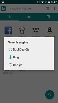 TugaBrowser screenshot 4