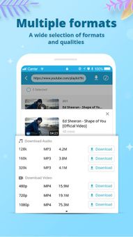 AnyMusic Downloader screenshot 2