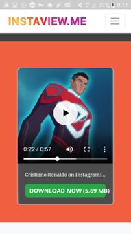 InstaView screenshot 2