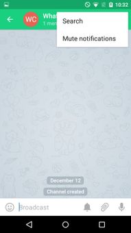 Instachat screenshot 12
