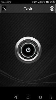 Pro Flashing Torch screenshot 2