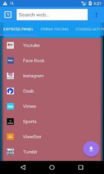 Tubevideo downloader screenshot 1