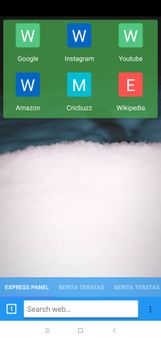 Fast browser screenshot 3