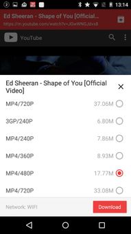 TubeSaver screenshot 2