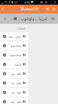 THEMES99 screenshot 3