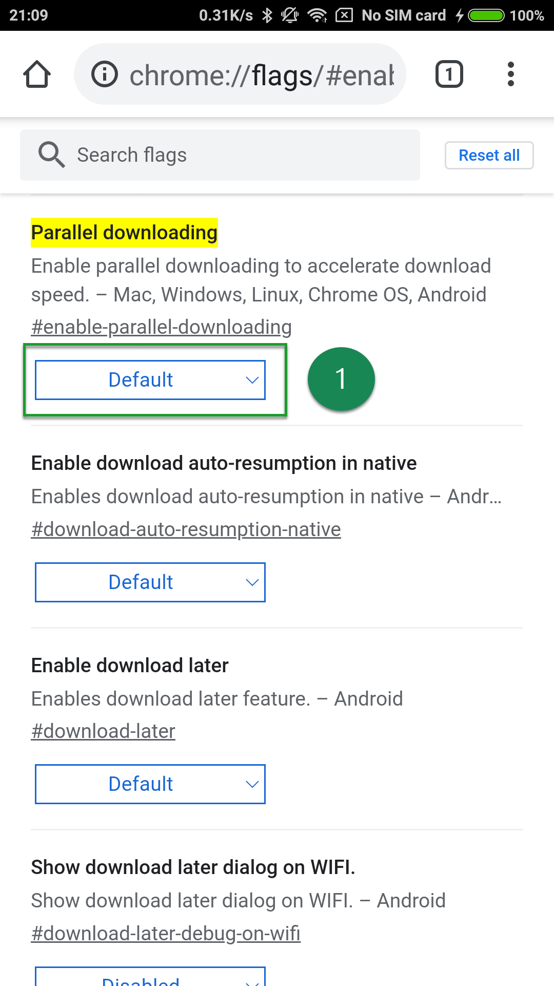 Chrome enable parallel downloading. Chrome://Flags/#enable-Parallel-downloading. Firefox://Flags/#enable-Parallel-downloading.