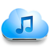Music Paradise Pro APK icon