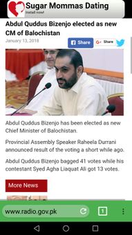 Pak Browser screenshot 5
