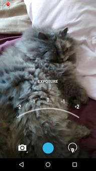 Camera HD screenshot 3