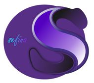 money exchange sefina APK
