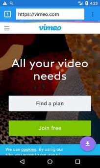 Tubevideo downloader screenshot 6