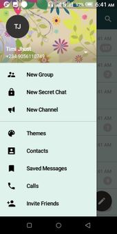 Messenger Plus screenshot 5