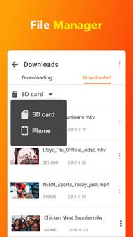 All Video Downloader screenshot 5