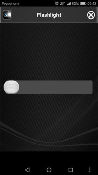 Pro Flashing Torch screenshot 5