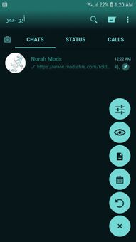 NOWhatsApp screenshot 13