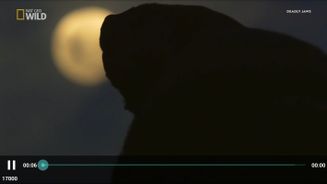 →