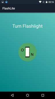 FlashLite screenshot 1