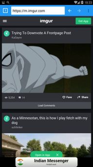 Ding Browser screenshot 6
