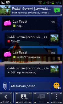 Dual BBM Clone Edition V-2.9 screenshot 6