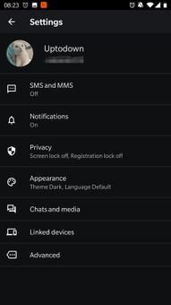 Skite screenshot 2