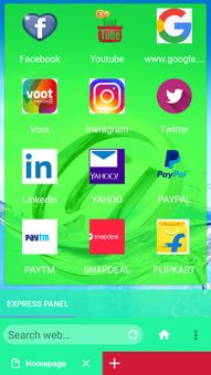 Your Browser screenshot 2