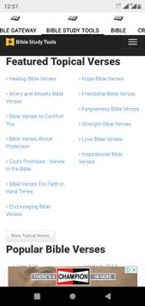 Devotional Bible screenshot 8