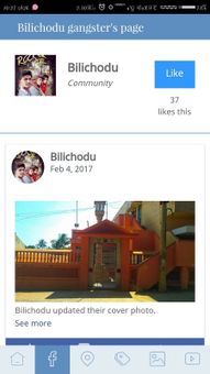 Bilichodu gangster screenshot 2
