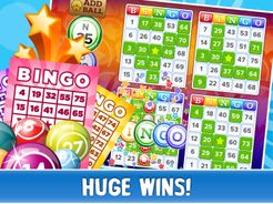 Bingo Card Games Screenshot