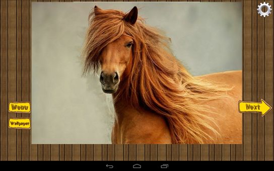 Horses Jigsaw Puzzles screenshot 1