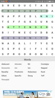 Words Search Crossword screenshot 4