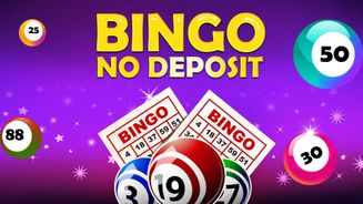 Bingo No Deposit Screenshot