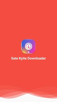 Sate Kyite Downloader screenshot 2