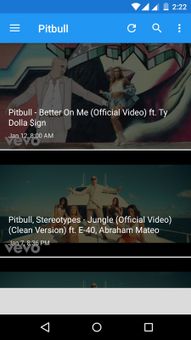 Pitbull screenshot 4
