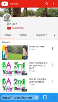 JeeJoke screenshot 3