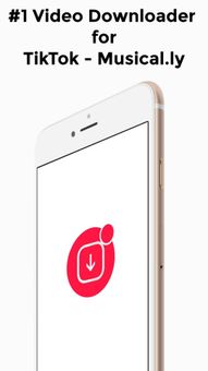 Video Downloader for Musical.ly - Tik Tok Download screenshot 1