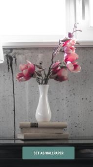 Flower HD WallPapers screenshot 2