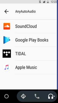 OUTDATED - AnyAutoAudio screenshot 1