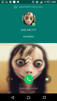 WhatsApp MoMo fake call screenshot 2
