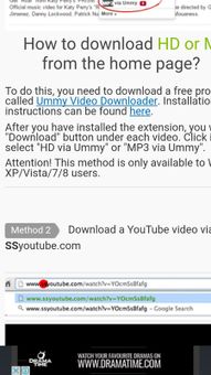Free Youtube Video Downloader screenshot 2