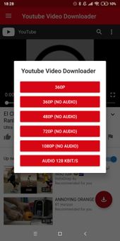 Youtube Video Downloader screenshot 4