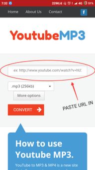 PengunduhTube screenshot 1