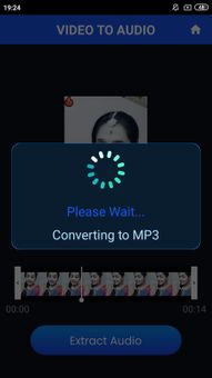 Video To MP3 Converter screenshot 2