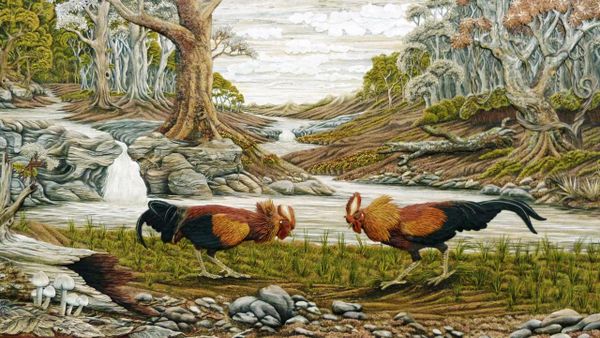 Farm Rooster Cockfight 3D screenshot 7
