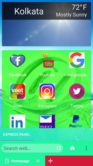 Your Browser screenshot 1
