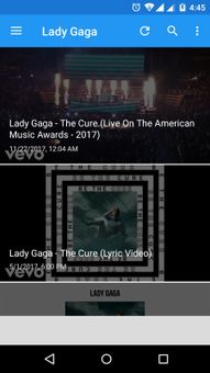 Lady Gaga screenshot 5